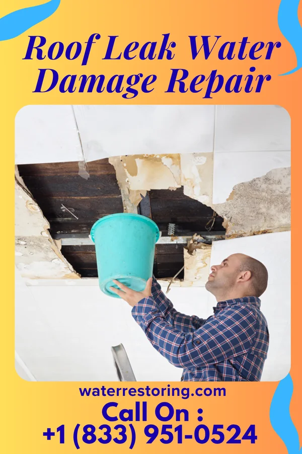 Roof Leak Water Damage Repair in Wilson, OK